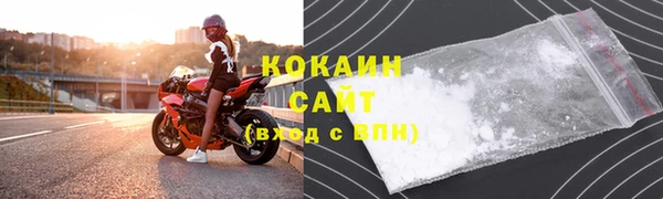 прущие грибы Рославль