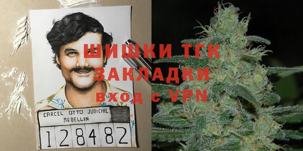 прущие грибы Рославль