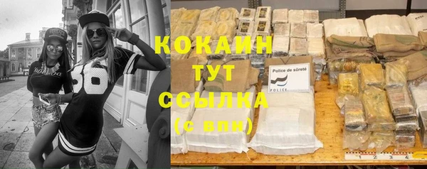 прущие грибы Рославль