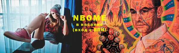 прущие грибы Рославль